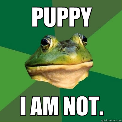 puppy I am not.  Foul Bachelor Frog