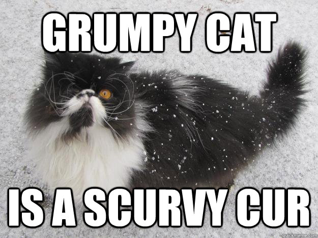 Grumpy Cat Is a Scurvy Cur  