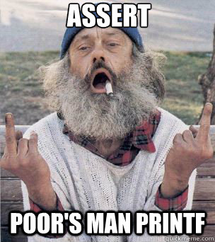 assert poor's man printf  