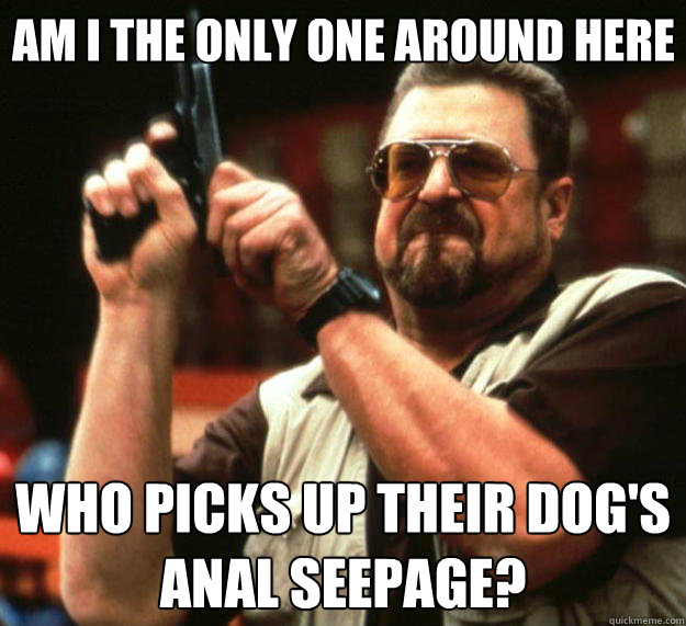 Am I the only one around here Who picks up their dog's anal seepage?
 - Am I the only one around here Who picks up their dog's anal seepage?
  Big Lebowski