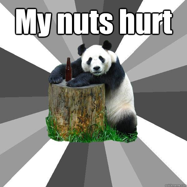 My nuts hurt   Pickup-Line Panda