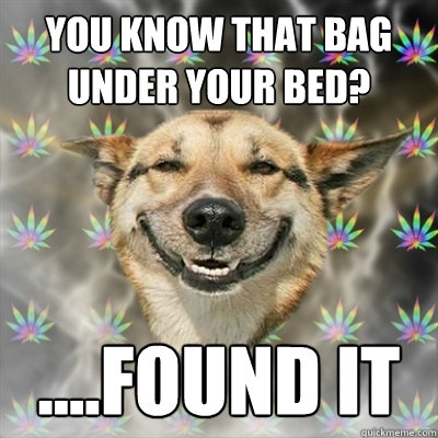 You know that bag under your bed? ....Found it  Stoner Dog