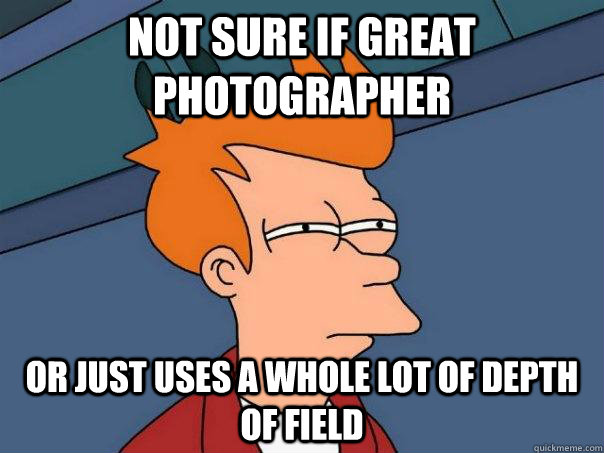 Not sure if great photographer Or just uses a whole lot of depth of field  Futurama Fry