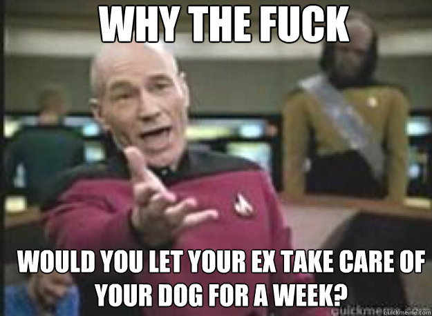Why the fuck would you let your ex take care of your dog for a week?  What the Fuck