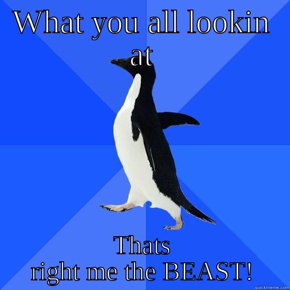 WHAT YOU ALL LOOKIN AT THATS RIGHT ME THE BEAST! Socially Awkward Penguin