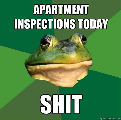 apartment inspections today shit - apartment inspections today shit  Foul Bachelor Frog