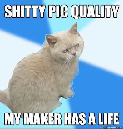 Shitty pic quality My maker has a life - Shitty pic quality My maker has a life  Unamused Fat Cat