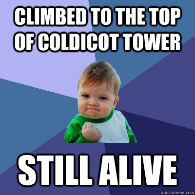 climbed to the top of coldicot tower still alive - climbed to the top of coldicot tower still alive  Success Kid