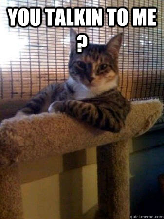 You talkin to me ?   The Most Interesting Cat in the World