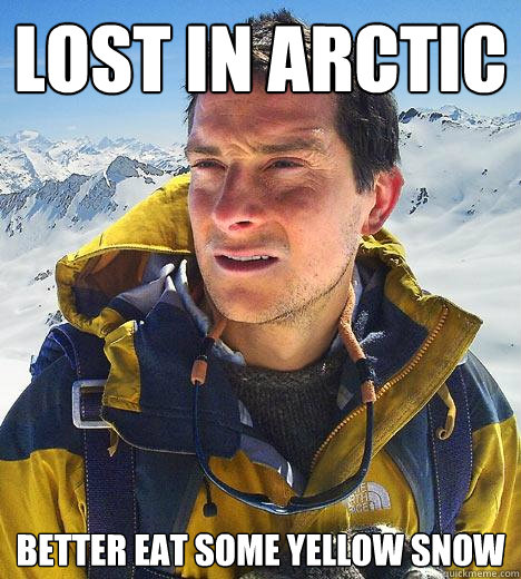 lost in arctic better eat some yellow snow - lost in arctic better eat some yellow snow  Bear Grylls