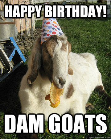 Happy Birthday! Dam goats  