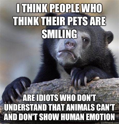 I think people who think their pets are smiling Are idiots who don't understand that animals can't and don't show human emotion  Confession Bear