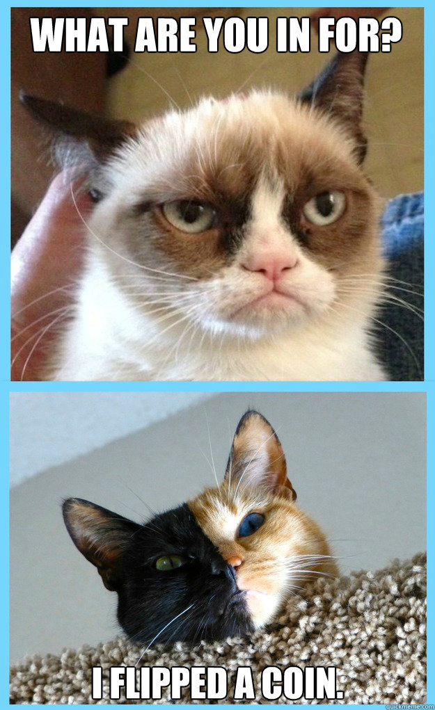 What are you in for? I flipped a coin.   - What are you in for? I flipped a coin.    GRUMPY CAT MAKES VENUS GRUMPY TOO