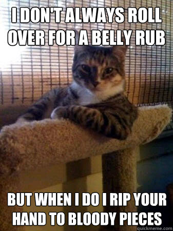 I don't always roll over for a belly rub but when I do I rip your hand to bloody pieces   The Most Interesting Cat in the World