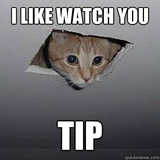 I LIKE WATCH YOU TIP  Ceiling Cat