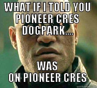 WHAT IF I TOLD YOU PIONEER CRES DOGPARK.... WAS ON PIONEER CRES Matrix Morpheus