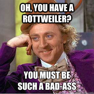 Oh, you have a rottweiler? You must be 
such a bad-ass - Oh, you have a rottweiler? You must be 
such a bad-ass  Condescending Wonka