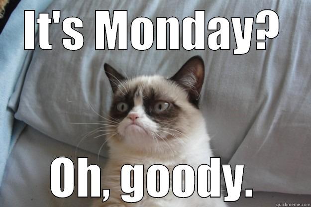 Grumpy Kitty offers thoughts on Monday. - IT'S MONDAY? OH, GOODY. Grumpy Cat