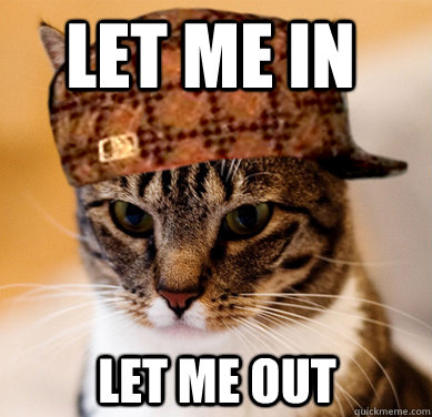Let me in Let me out  Scumbag Cat