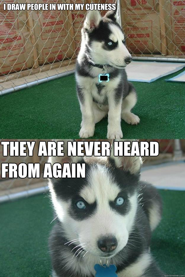 i draw people in with my cuteness they are never heard from again  Insanity puppy