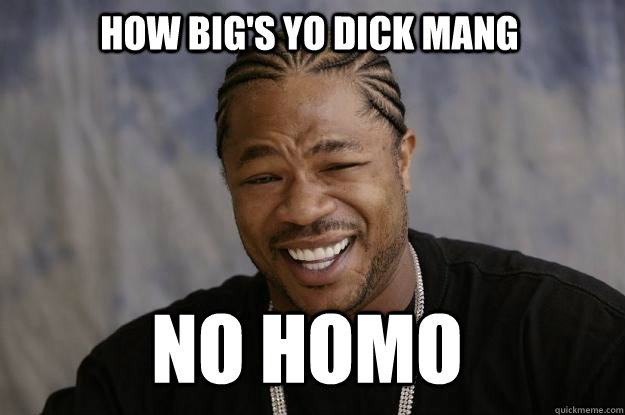 how big's yo dick mang no homo  Xzibit meme