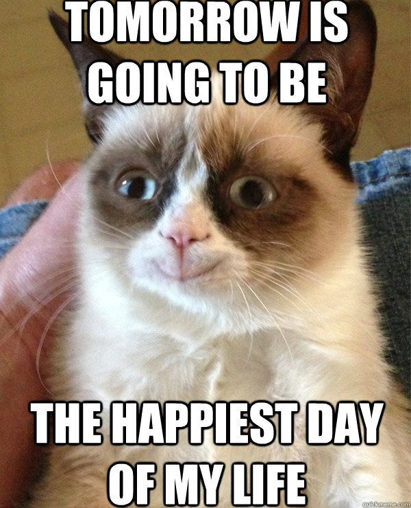 tomorrow is going to be the happiest day of my life - tomorrow is going to be the happiest day of my life  Ungrumpy Cat