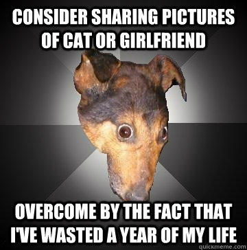 consider sharing pictures of cat or girlfriend overcome by the fact that i've wasted a year of my life - consider sharing pictures of cat or girlfriend overcome by the fact that i've wasted a year of my life  Depression Dog