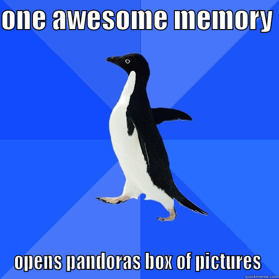 ONE AWESOME MEMORY  OPENS PANDORAS BOX OF PICTURES Socially Awkward Penguin