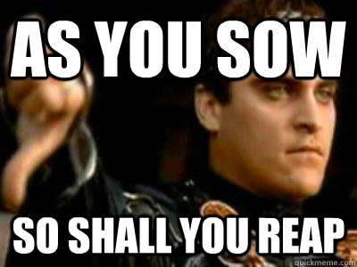 As you sow So shall you reap  Downvoting Roman