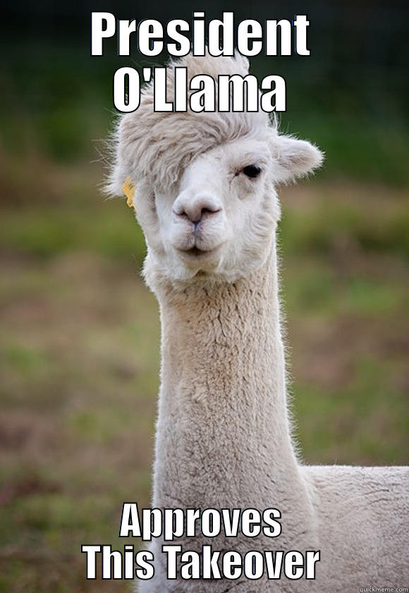 President O'Llama - PRESIDENT O'LLAMA APPROVES THIS TAKEOVER Misc