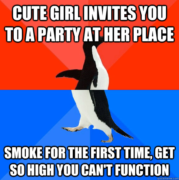 Cute girl invites you to a party at her place Smoke for the first time, get so high you can't function  Socially Awesome Awkward Penguin