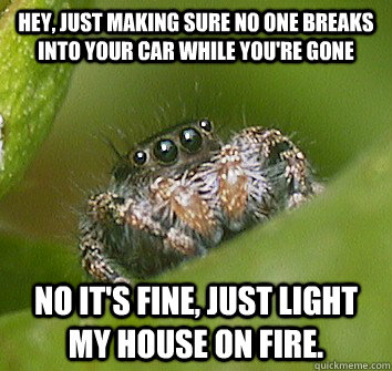 Hey, just making sure no one breaks into your car while you're gone no it's fine, just light my house on fire.  Misunderstood Spider