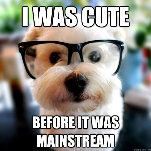 I was cute Before it was mainstream  Hipster Puppy