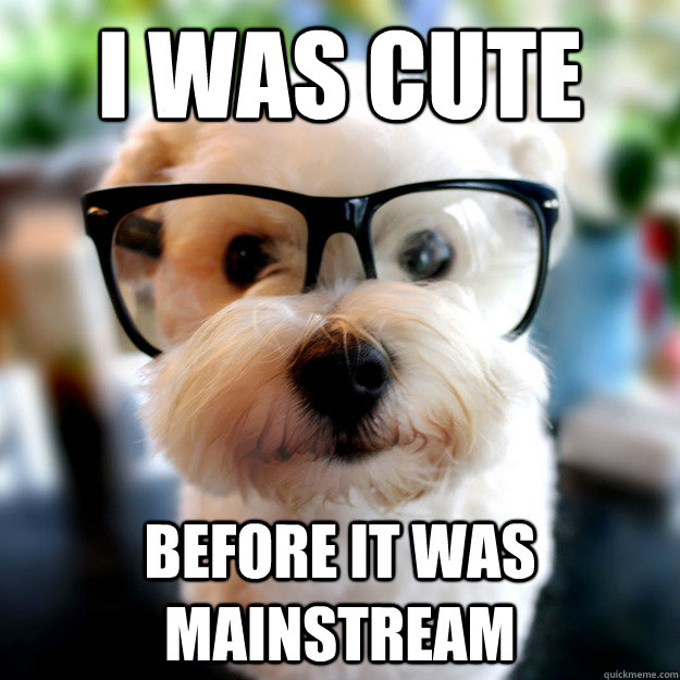 I was cute Before it was mainstream - I was cute Before it was mainstream  Hipster Puppy