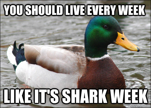 you should live every week like it's shark week  Actual Advice Mallard
