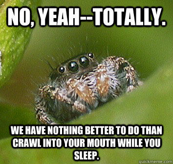 No, yeah--totally. We have nothing better to do than crawl into your mouth while you sleep.  Misunderstood Spider
