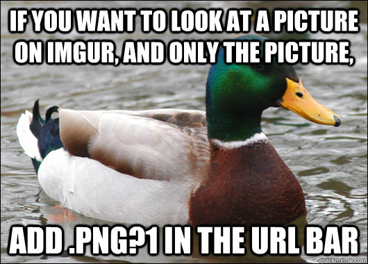 iF YOU WANT TO LOOK AT A PICTURE ON IMGUR, AND ONLY THE PICTURE, ADD .png?1 IN THE URL BAR  Actual Advice Mallard