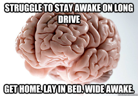 Struggle to stay awake on long drive Get home. Lay in bed. Wide awake. - Struggle to stay awake on long drive Get home. Lay in bed. Wide awake.  Scumbag Brain