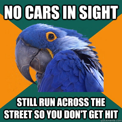 no cars in sight still run across the street so you don't get hit  Paranoid Parrot