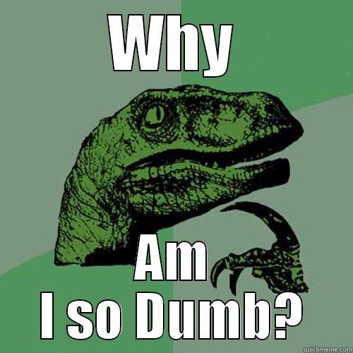 im so dumb - WHY AM I SO DUMB? Philosoraptor