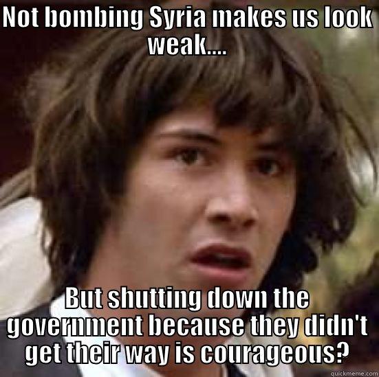 NOT BOMBING SYRIA MAKES US LOOK WEAK.... BUT SHUTTING DOWN THE GOVERNMENT BECAUSE THEY DIDN'T GET THEIR WAY IS COURAGEOUS? conspiracy keanu