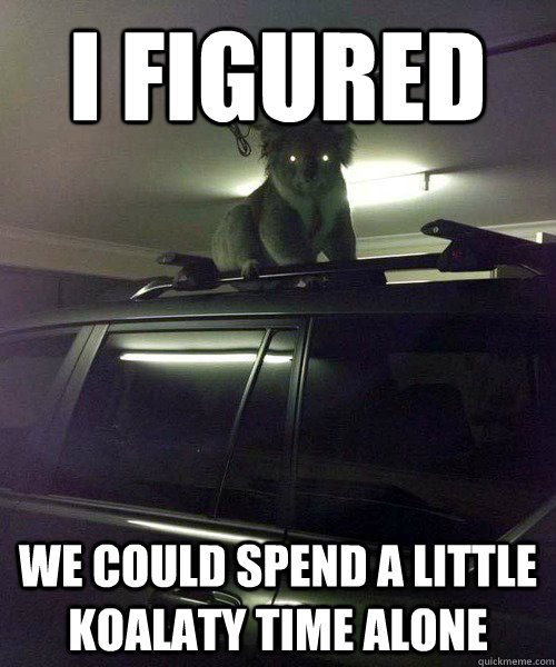 I figured  we could spend a little koalaty time alone  Koala