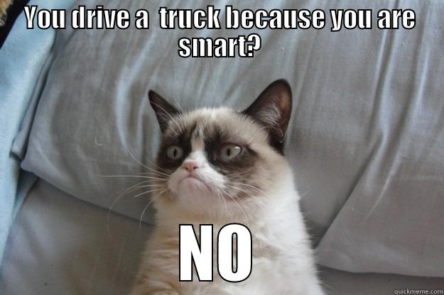 YOU DRIVE A  TRUCK BECAUSE YOU ARE SMART? NO Grumpy Cat