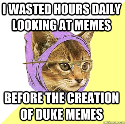 i wasted hours daily looking at memes before the creation of duke memes  Hipster Kitty