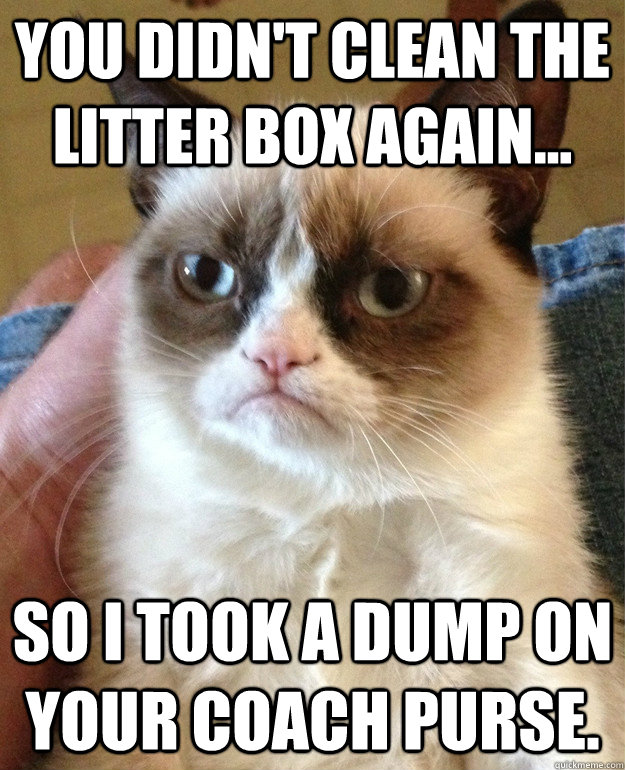 you didn't clean the litter box again... So I took a dump on your coach purse. - you didn't clean the litter box again... So I took a dump on your coach purse.  Misc