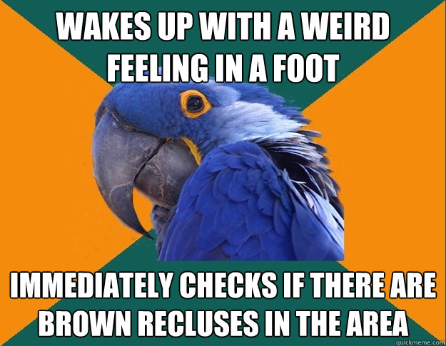 wakes up with a weird feeling in a foot immediately checks if there are brown recluses in the area  Paranoid parrot flat tire