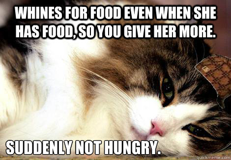 Whines for food even when she has food, so you give her more. Suddenly not hungry. - Whines for food even when she has food, so you give her more. Suddenly not hungry.  Misc