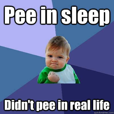 Pee in sleep Didn't pee in real life - Pee in sleep Didn't pee in real life  Success Kid