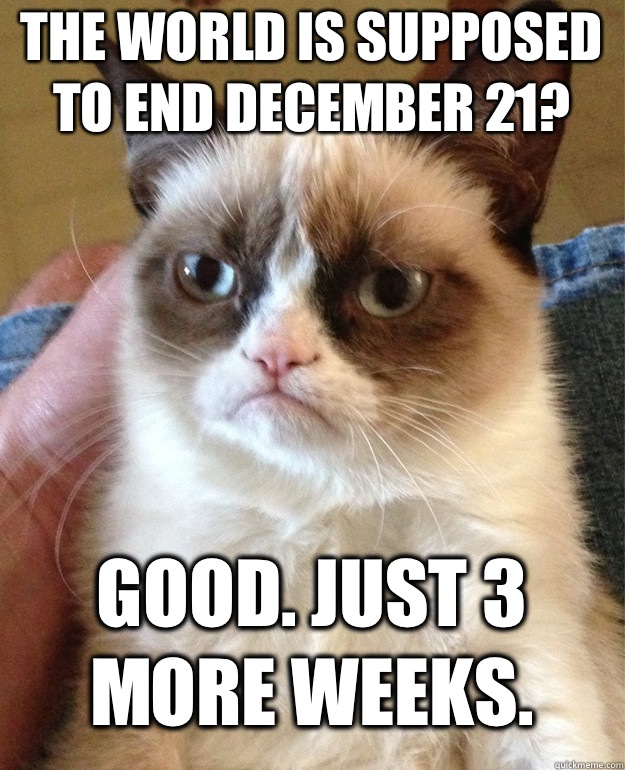 The world is supposed to end December 21? Good. Just 3 more weeks.   Grumpy Cat