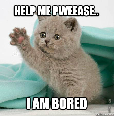 Help me pweease.. I am bored  - Help me pweease.. I am bored   Cute Catz